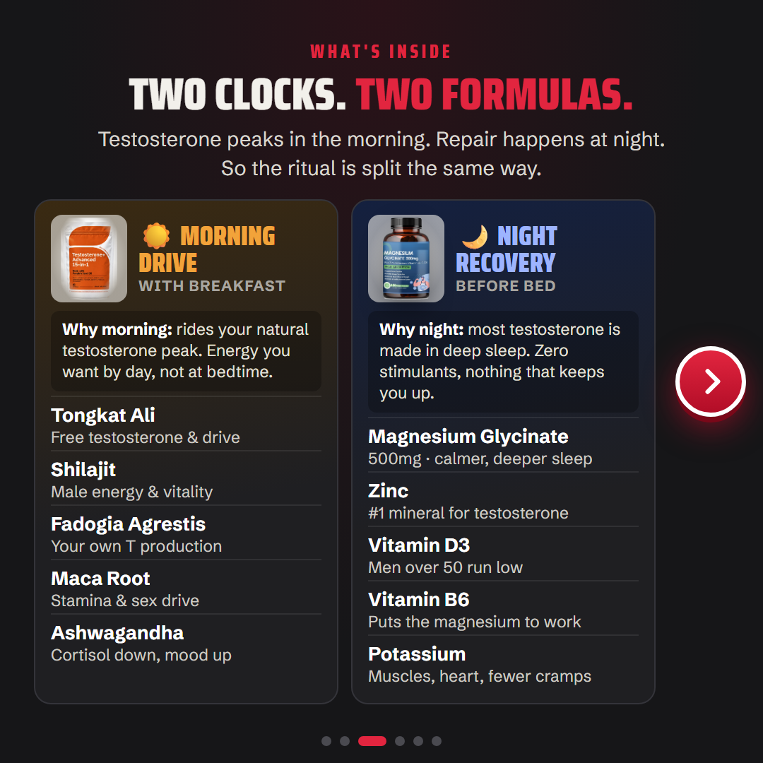 What's inside: Morning Drive and Night Recovery